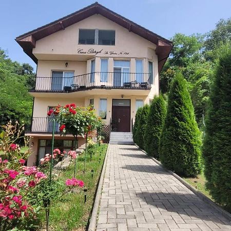 Hotel Casa Patryk Orşova Exterior foto