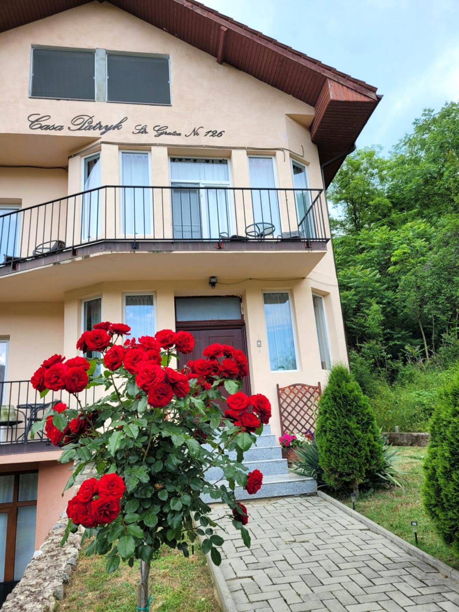 Hotel Casa Patryk Orşova Exterior foto